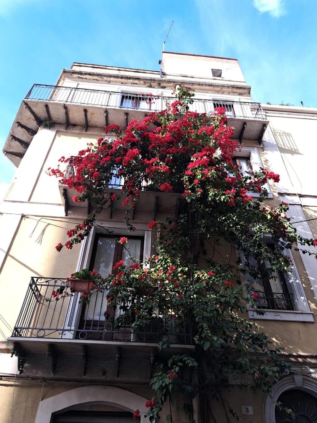 B&B L'Angolo Sulla Piazza Mirabella Imbaccari Exterior photo